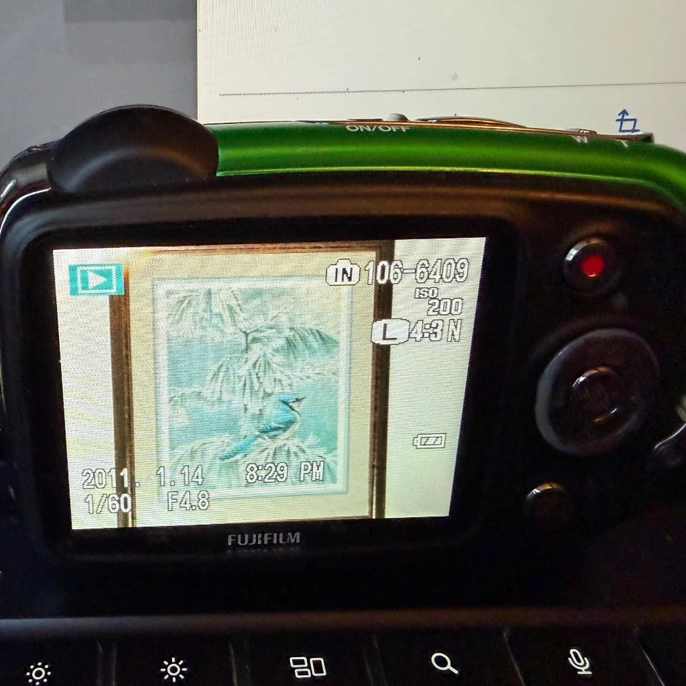 Fujifilm FinePix XP20 Green Y2K Waterproof Digital Camera - Rugged & Compact
